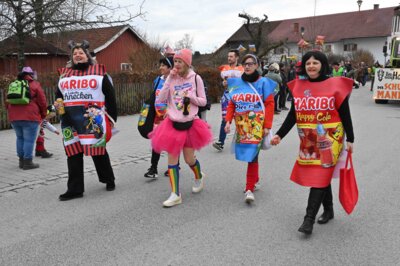 Foto des Albums: Rosenmontagszug 2024 in Bildern
