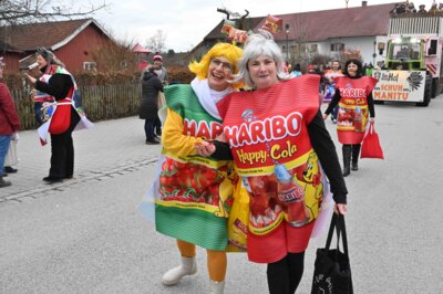 Foto des Albums: Rosenmontagszug 2024 in Bildern