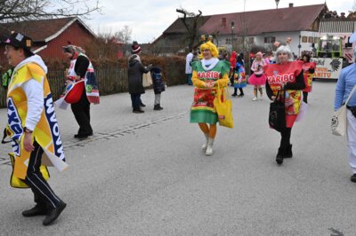 Foto des Albums: Rosenmontagszug 2024 in Bildern