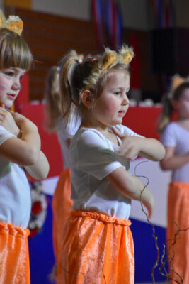 Foto des Albums: Senioren Prunksitzung