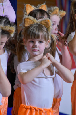 Foto des Albums: Senioren Prunksitzung