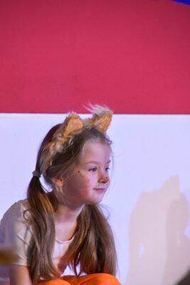 Foto des Albums: Senioren Prunksitzung