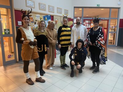 Foto des Albums: Karneval 24