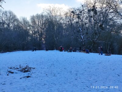 Foto des Albums: Schneetag 2024