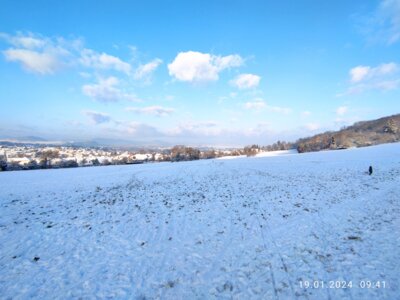Foto des Albums: Schneetag 2024