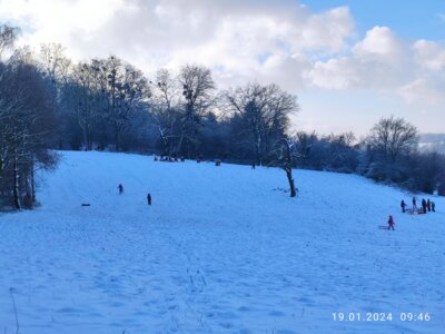 Foto des Albums: Schneetag 2024