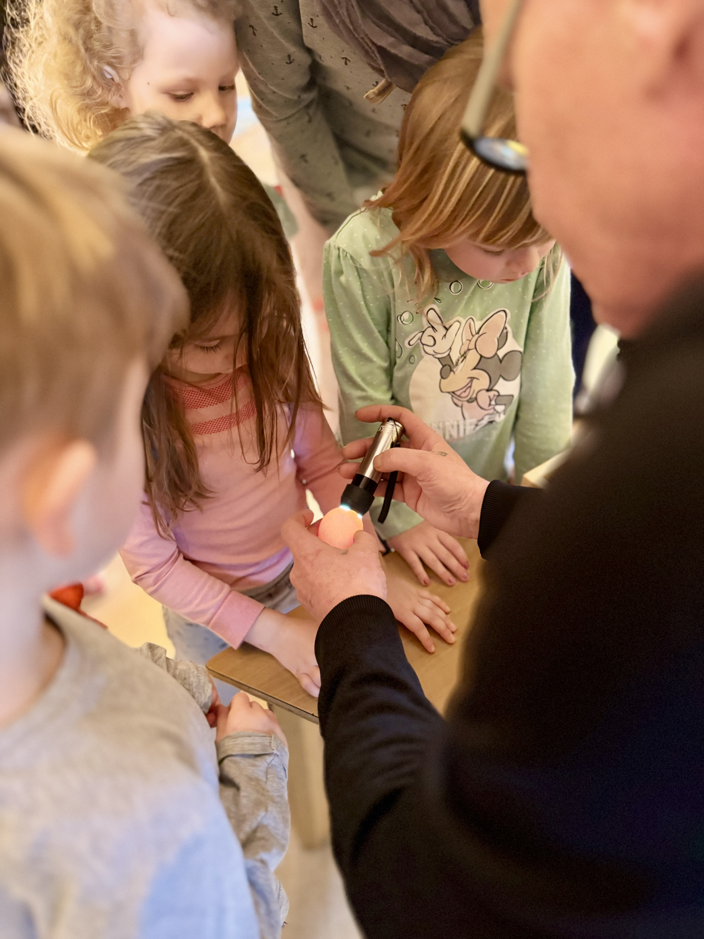 Bild der Galerie