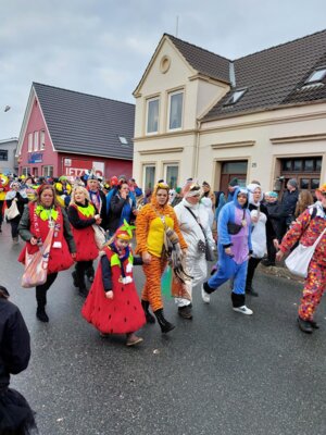 Foto des Albums: Rosenmontagsumzug in Marne