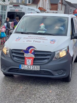 Foto des Albums: Rosenmontagsumzug in Marne