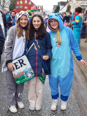 Foto des Albums: Rosenmontagsumzug in Marne