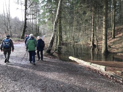 Spalterhalsbach am Waldgarten Lohburg  (Bild vergr&ouml;&szlig;ern)