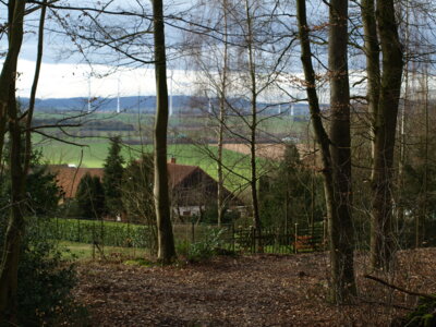 Br&uuml;nninghausen  (Bild vergr&ouml;&szlig;ern)