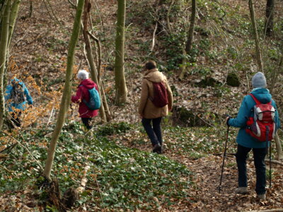 Auf dem Bergmannsweg  (Bild vergr&ouml;&szlig;ern)