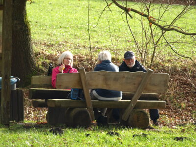 Rast am Brandesstein  (Bild vergr&ouml;&szlig;ern)