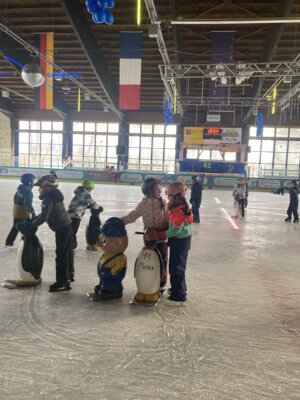 Foto des Albums: Wintersporttag in Herrischried