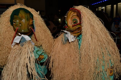 Foto des Albums: Verbrennen der Fasnet 2024