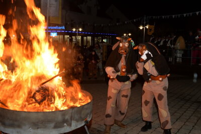 Foto des Albums: Verbrennen der Fasnet 2024