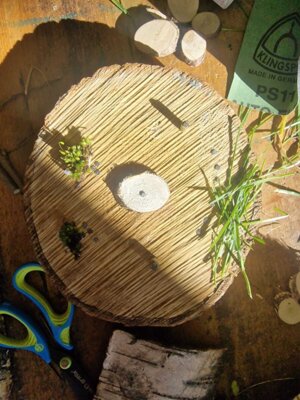 Foto des Albums: Hortangebot „Bauen mit Holz“