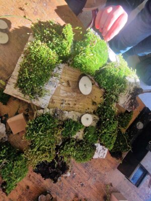 Foto des Albums: Hortangebot „Bauen mit Holz“
