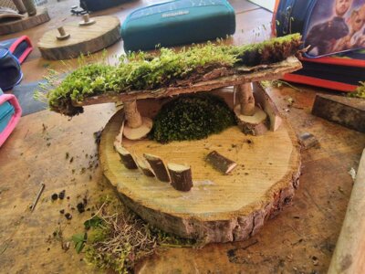 Foto des Albums: Hortangebot „Bauen mit Holz“