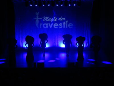 Foto des Albums: Magie der Travestie