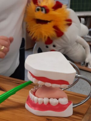 Foto des Albums: Monatsbilder Februar 2024