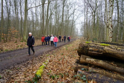 Haster Wald  (Bild vergr&ouml;&szlig;ern)