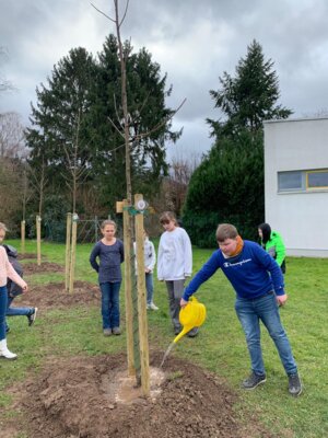 Foto des Albums: Baumpflanzaktion