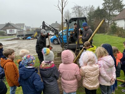 Foto des Albums: Baumpflanzaktion