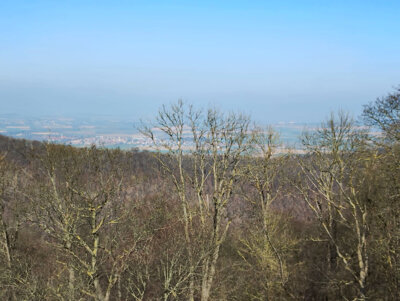 Turmausblick  (Bild vergr&ouml;&szlig;ern)