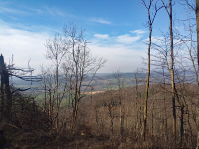 Blick vom Aufstieg zum Tafelberg  (Bild vergr&ouml;&szlig;ern)