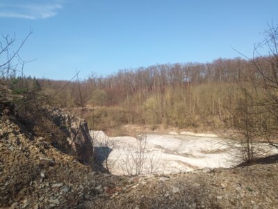 Kalksteinbruch  (Bild vergr&ouml;&szlig;ern)