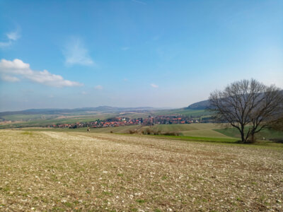 Eberholzen  (Bild vergr&ouml;&szlig;ern)