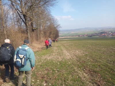 Ein Sonnenweg  (Bild vergr&ouml;&szlig;ern)