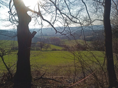 Auf dem R&uuml;ckweg  (Bild vergr&ouml;&szlig;ern)