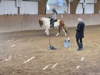 Foto des Albums: Dressurkurs Lübbert 2024