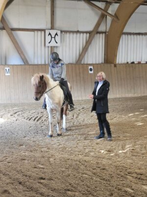 Foto des Albums: Dressurkurs Lübbert 2024