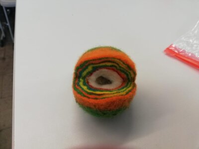 Foto des Albums: Projektunterricht - 1. Termin