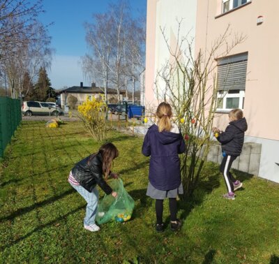 Foto des Albums: Osterdekoration (14. 03. 2024)