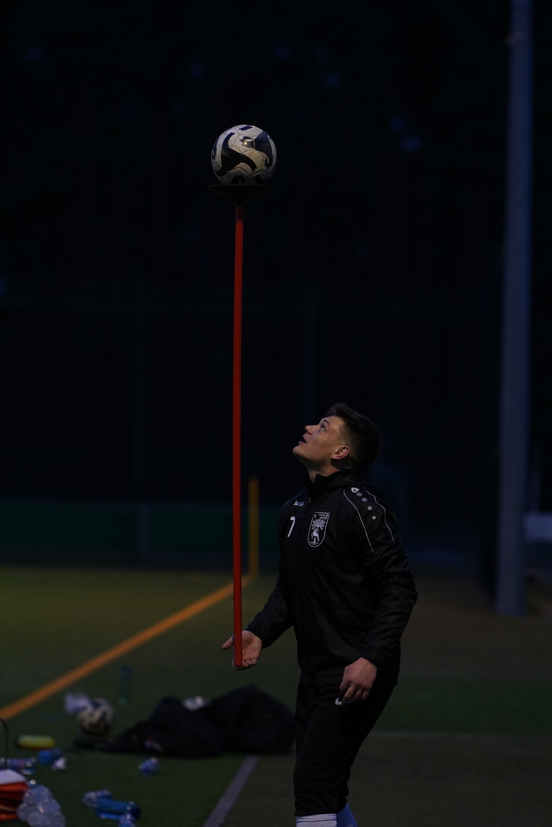 Bild der Galerie
