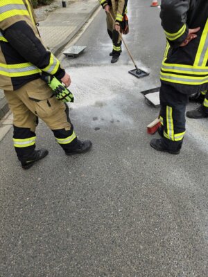 Foto des Albums: Einsatz 06/2024