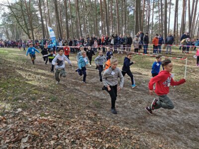 Foto des Albums: Frühjahrscross 2024
