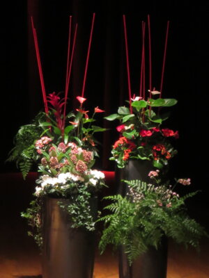 Foto des Albums: Duo Kloeckner – Häring | Cello und Klavier