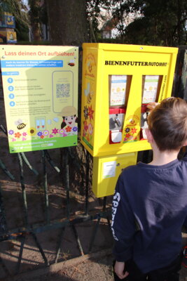 Foto des Albums: Bienenfutterautomat am Haus am Anger
