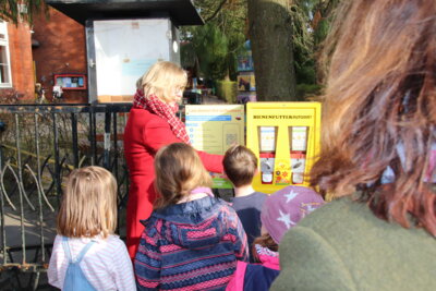 Foto des Albums: Bienenfutterautomat am Haus am Anger