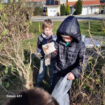 Foto des Albums: Müllsammelaktion