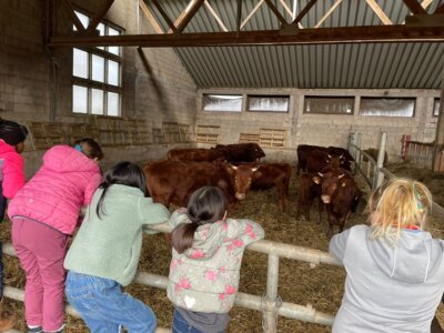 Wandertag 3b (4) 
