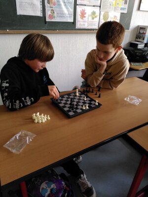 Foto des Albums: Projektwoche 2