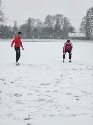 Foto des Albums: Trainingslager 1. Männer Tag 1 Güstrow