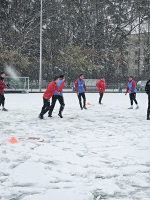 Foto des Albums: Trainingslager 1. Männer Tag 1 Güstrow